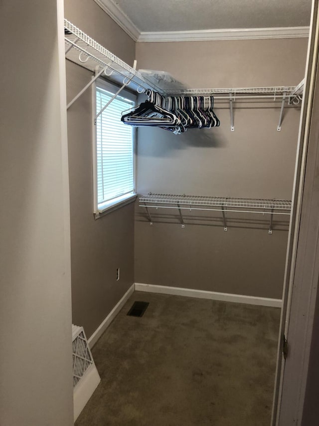 walk in closet with visible vents and dark colored carpet