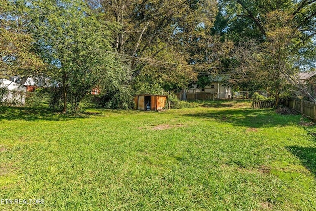 view of yard featuring a storage unit