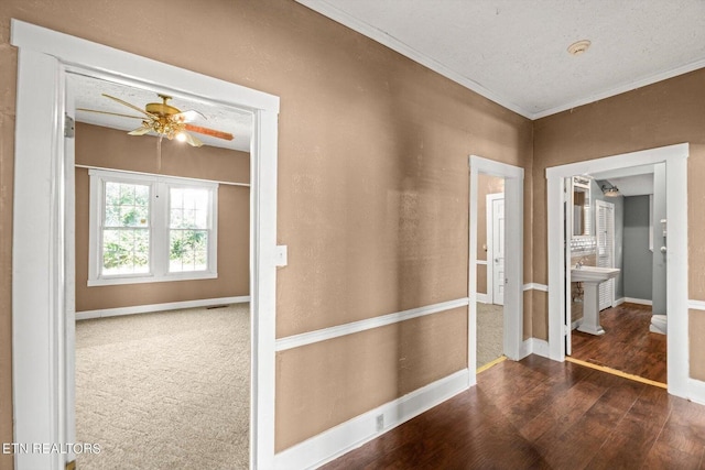 hallway with crown molding, dark hardwood / wood-style floors, and a textured ceiling