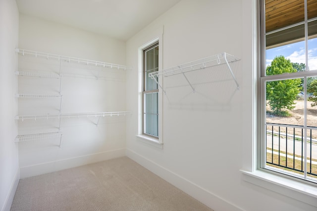 walk in closet featuring carpet flooring