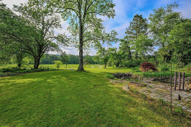 view of yard