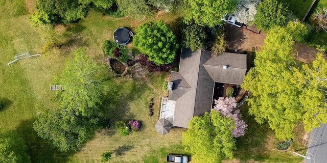 drone / aerial view
