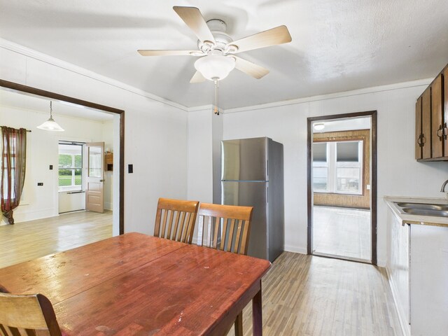 174 E Jackson Ave, Spring City, TN 37381 - dining room with light wood finished floors, a ceiling fan, and baseboards