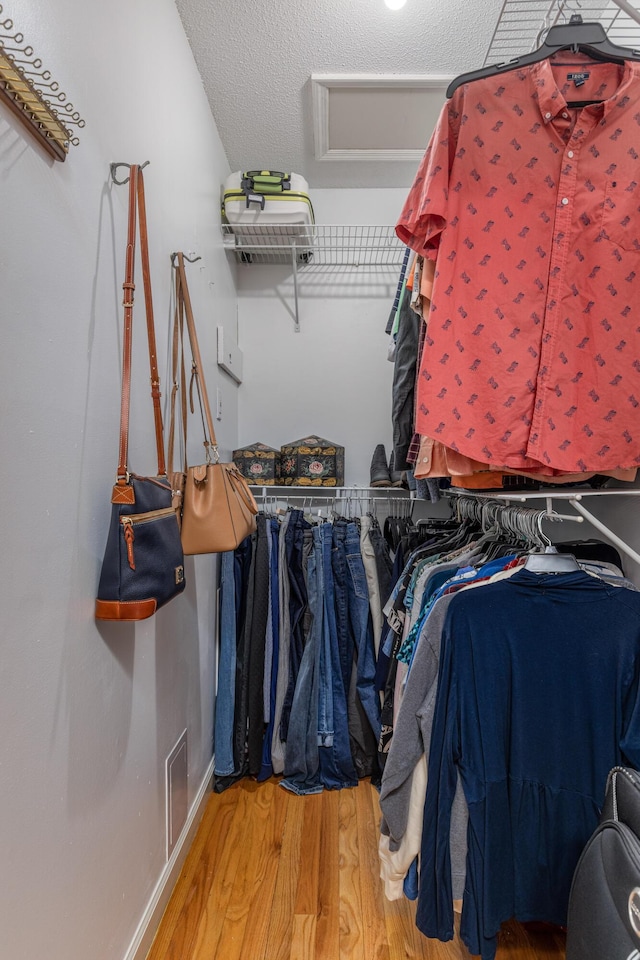 spacious closet featuring wood-type flooring