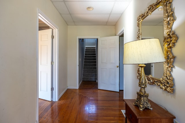 hallway with a drop ceiling and dark hardwood / wood-style floors