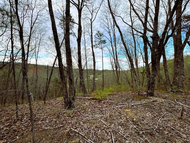 TRACT1 SW Owl Hollow Rd, Mcdonald, TN 37353 - photo 5
