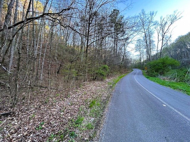 TRACT1 SW Owl Hollow Rd, Mcdonald, TN 37353 - photo 11