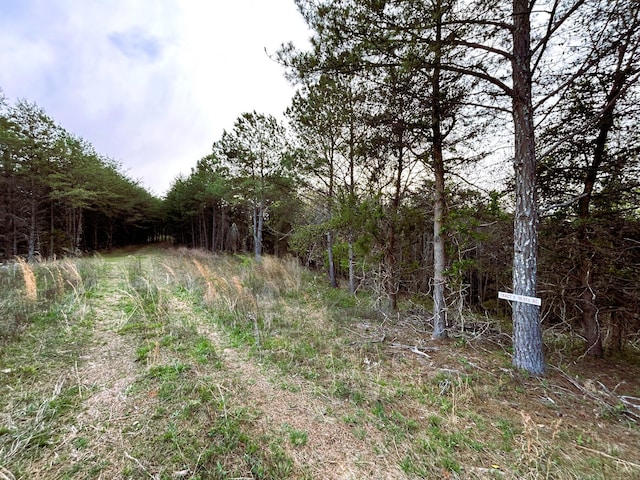 TRACT1 SW Owl Hollow Rd, Mcdonald, TN 37353 - photo 10