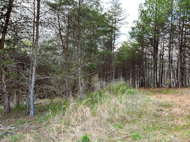 TRACT1 SW Owl Hollow Rd, Mcdonald, TN 37353 - photo 16