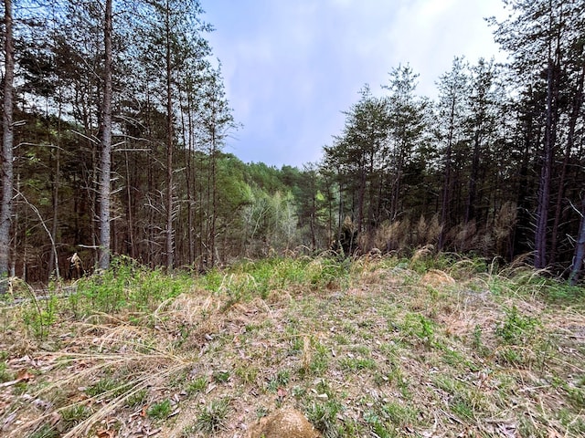 TRACT1 SW Owl Hollow Rd, Mcdonald, TN 37353 - photo 9