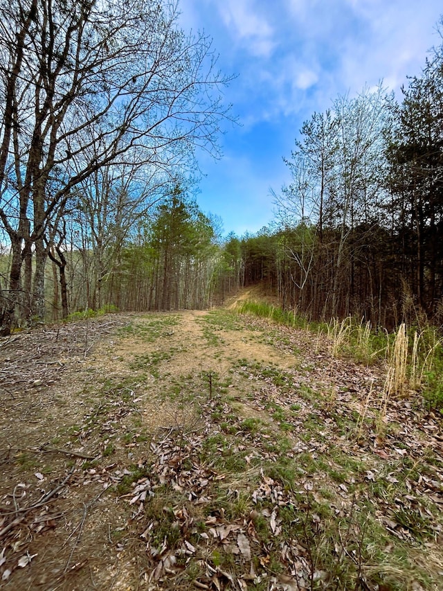 TRACT1 SW Owl Hollow Rd, Mcdonald, TN 37353 - photo 6