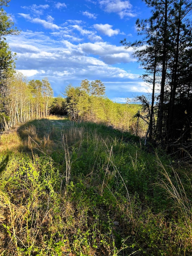 TRACT1 SW Owl Hollow Rd, Mcdonald, TN 37353 - photo 2
