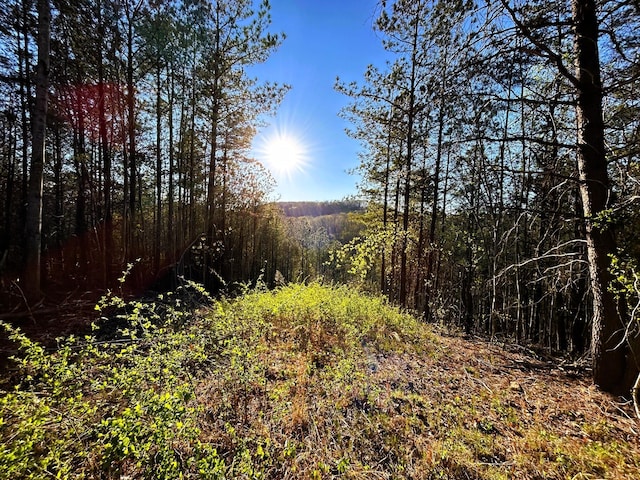 TRACT1 SW Owl Hollow Rd, Mcdonald, TN 37353 - photo 3