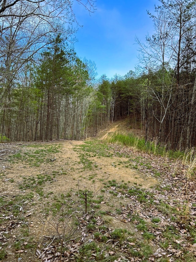TRACT1 SW Owl Hollow Rd, Mcdonald, TN 37353 - photo 7