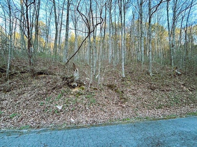 TRACT1 SW Owl Hollow Rd, Mcdonald, TN 37353 - photo 13