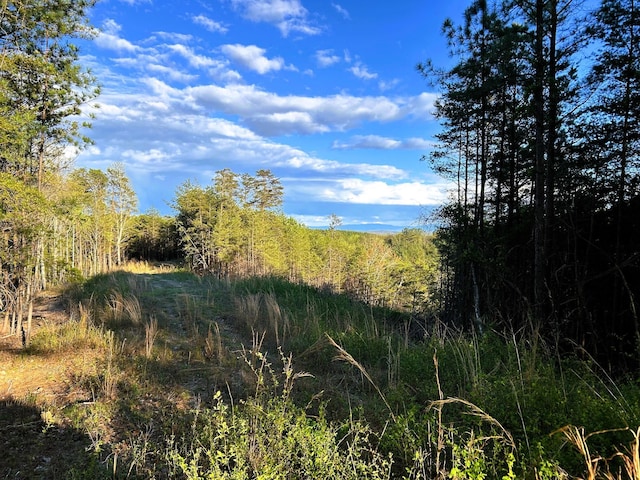 TRACT1 SW Owl Hollow Rd, Mcdonald, TN 37353 - photo 1