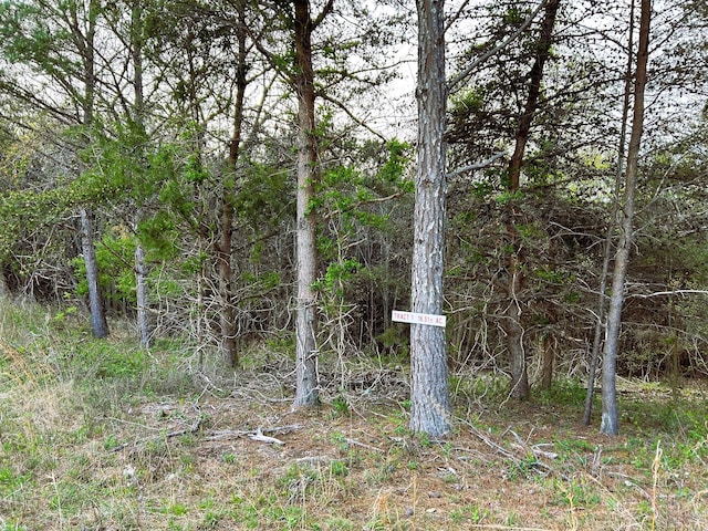 TRACT1 SW Owl Hollow Rd, Mcdonald, TN 37353 - photo 15