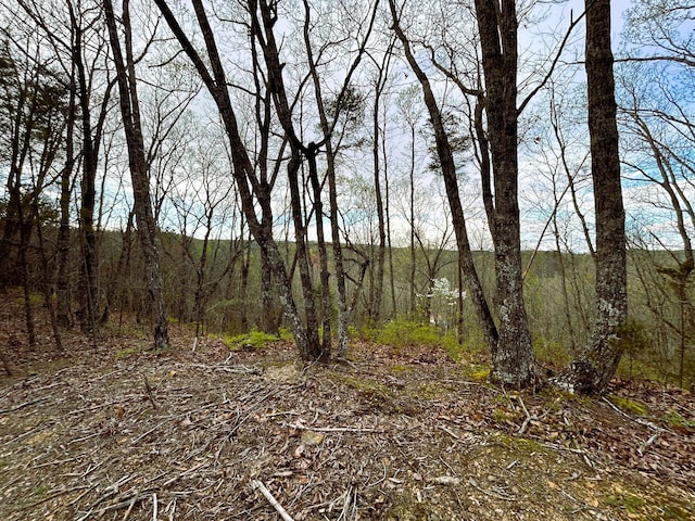 TRACT1 SW Owl Hollow Rd, Mcdonald, TN 37353 - photo 4