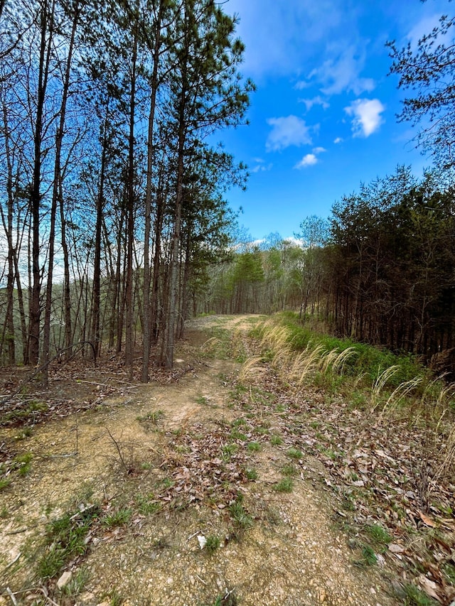 TRACT1 SW Owl Hollow Rd, Mcdonald, TN 37353 - photo 8