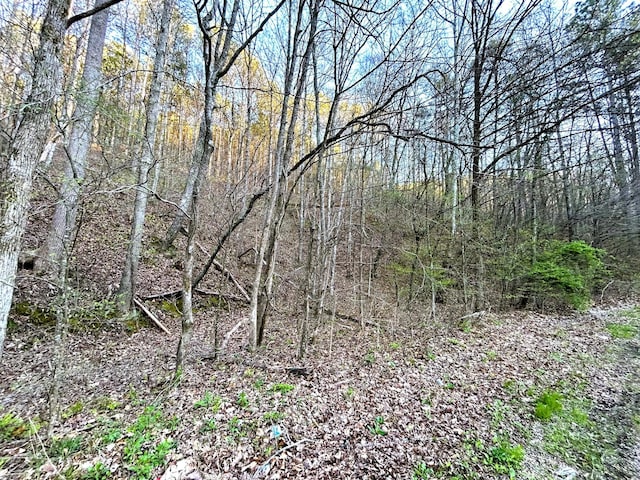 TRACT1 SW Owl Hollow Rd, Mcdonald, TN 37353 - photo 12