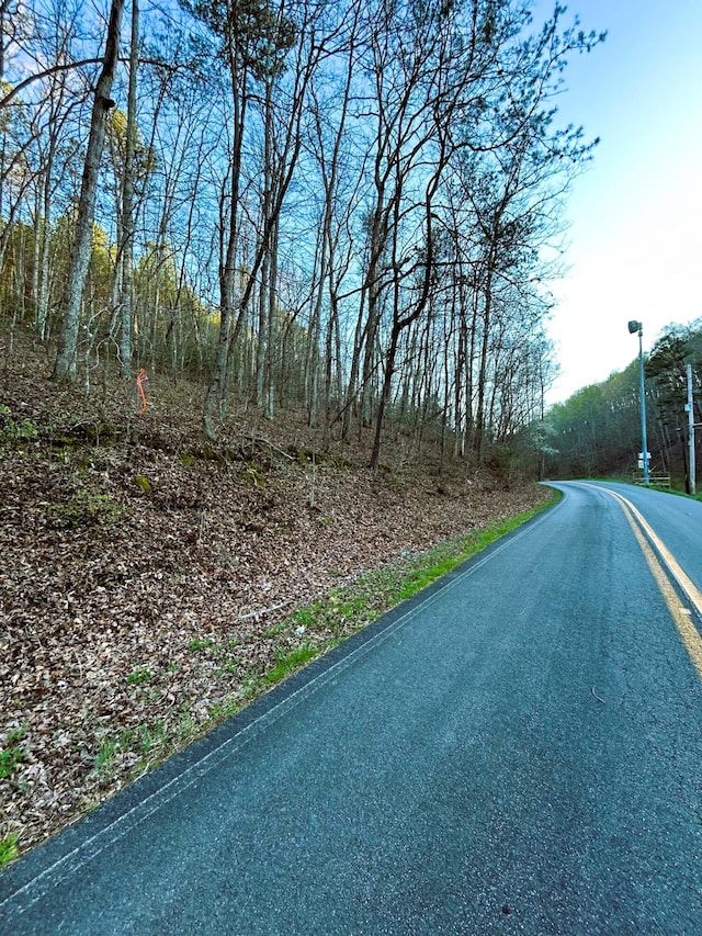 TRACT1 SW Owl Hollow Rd, Mcdonald, TN 37353 - photo 14