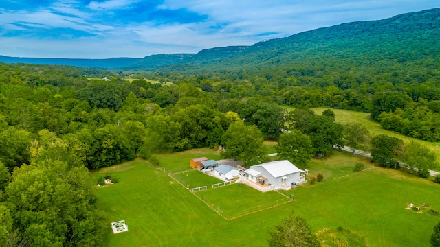 birds eye view of property with a mountain view