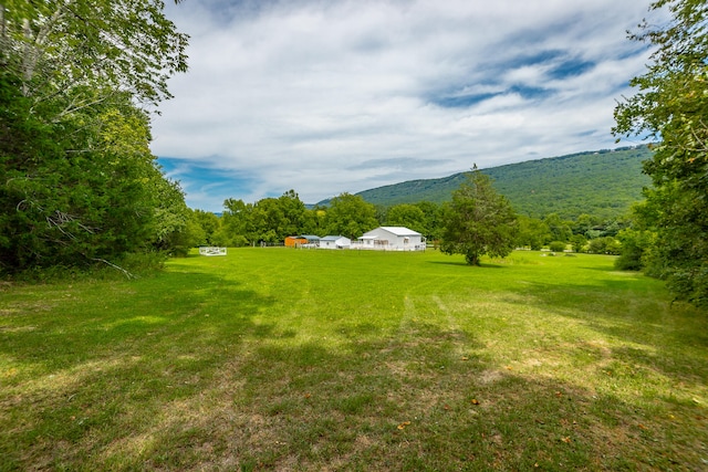 view of yard featuring a mountain view