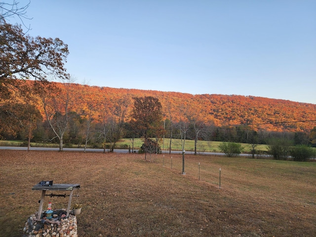 view of yard with a mountain view and a rural view