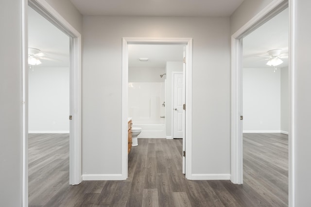 hallway with dark wood-type flooring