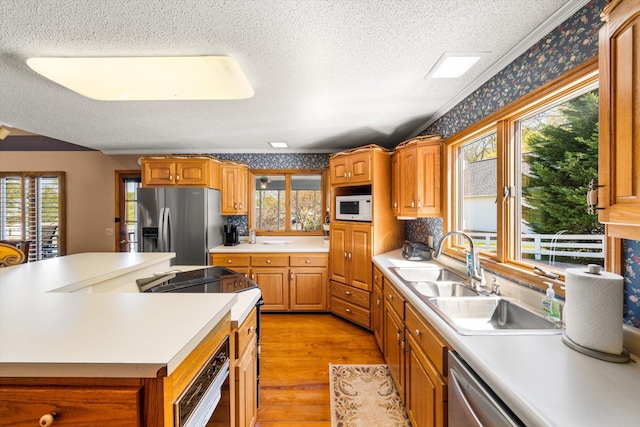 131 Corntassel Shrs, Vonore, TN 37885 - kitchen with light countertops, stainless steel appliances, wallpapered walls, light wood finished floors, and plenty of natural light