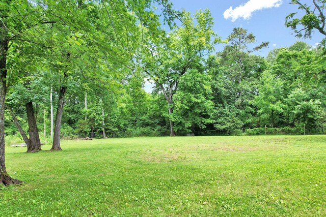 296 Hughes Lake Rd SE, Cleveland, TN 37323 - photo 36