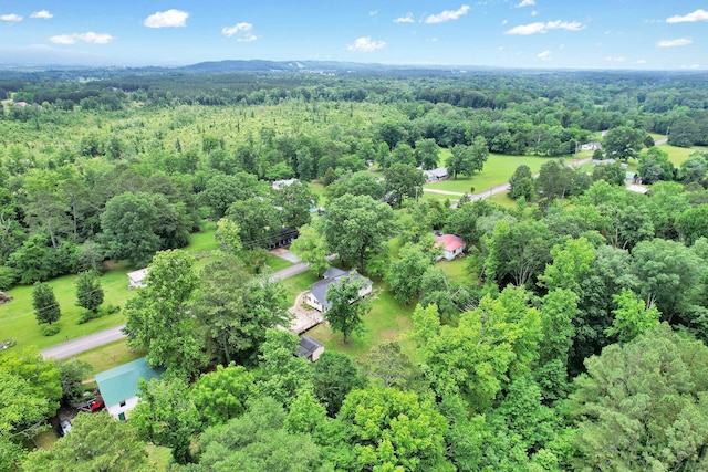 296 Hughes Lake Rd SE, Cleveland, TN 37323 - photo 39