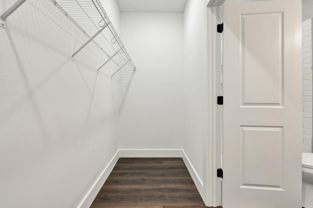 523 13th St SE, Cleveland, TN 37311 - spacious closet featuring dark wood-style floors