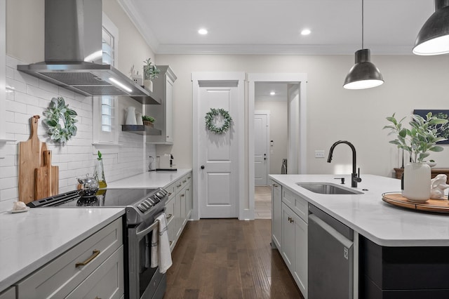 kitchen featuring crown molding, range hood, a sink, appliances with stainless steel finishes, and backsplash