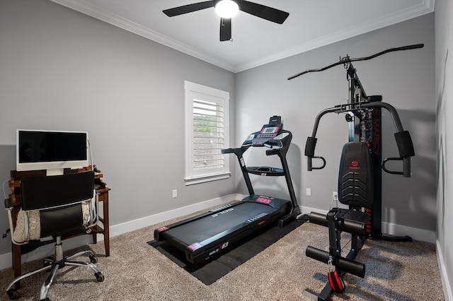 workout room with baseboards, ornamental molding, carpet, and a ceiling fan
