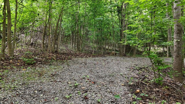 5671 Willow Point Ln, Harrison, TN 37341 - photo 3