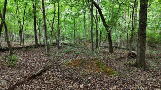 5671 Willow Point Ln, Harrison, TN 37341 - photo 7