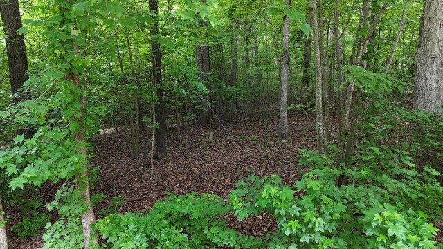 5671 Willow Point Ln, Harrison, TN 37341 - photo 6