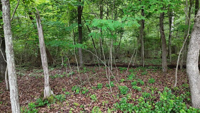 5671 Willow Point Ln, Harrison, TN 37341 - photo 10