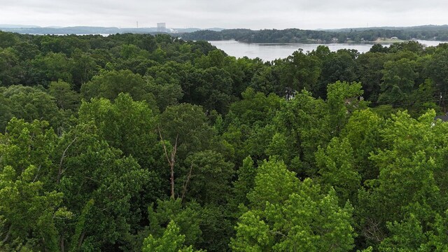 5671 Willow Point Ln, Harrison, TN 37341 - photo 11