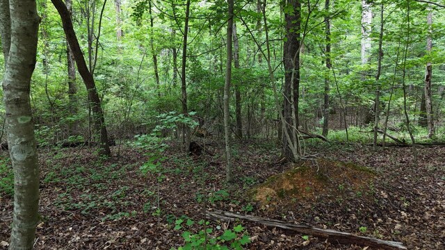 5671 Willow Point Ln, Harrison, TN 37341 - photo 8