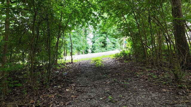 5671 Willow Point Ln, Harrison, TN 37341 - photo 2