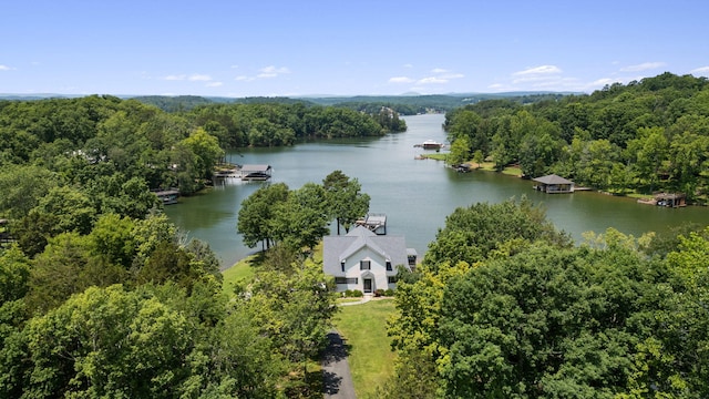 293 Red Cloud Ln, Ten Mile, TN 37880 - photo 17