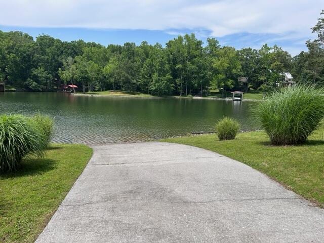 293 Red Cloud Ln, Ten Mile, TN 37880 - photo 7