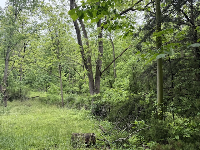 1205 Everett Rd, Knoxville, TN 37932