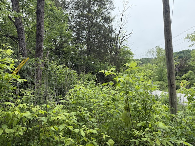 1205 Everett Rd, Knoxville, TN 37932