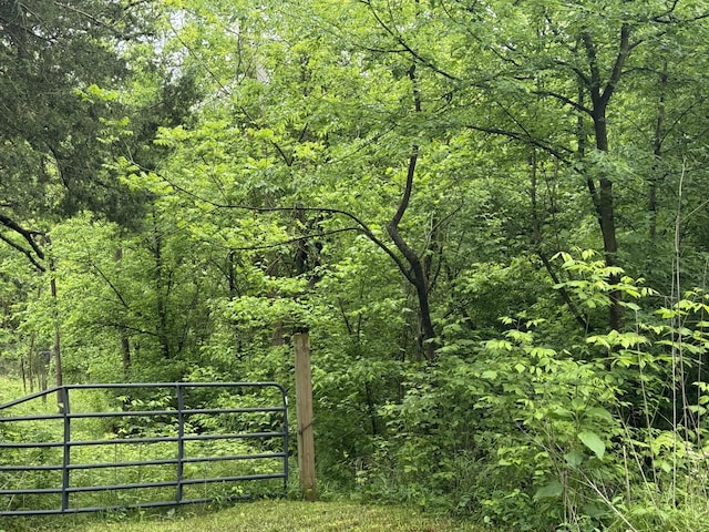 1205 Everett Rd, Knoxville, TN 37932
