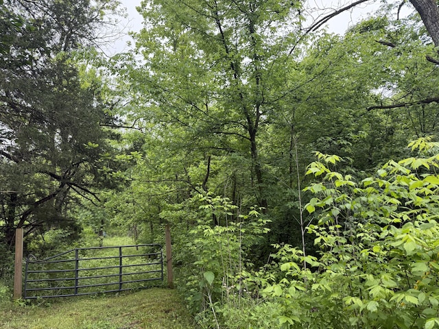 1205 Everett Rd, Knoxville, TN 37932