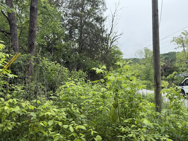 1205 Everett Rd, Knoxville, TN 37932