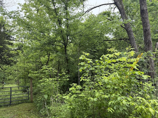 1205 Everett Rd, Knoxville, TN 37932